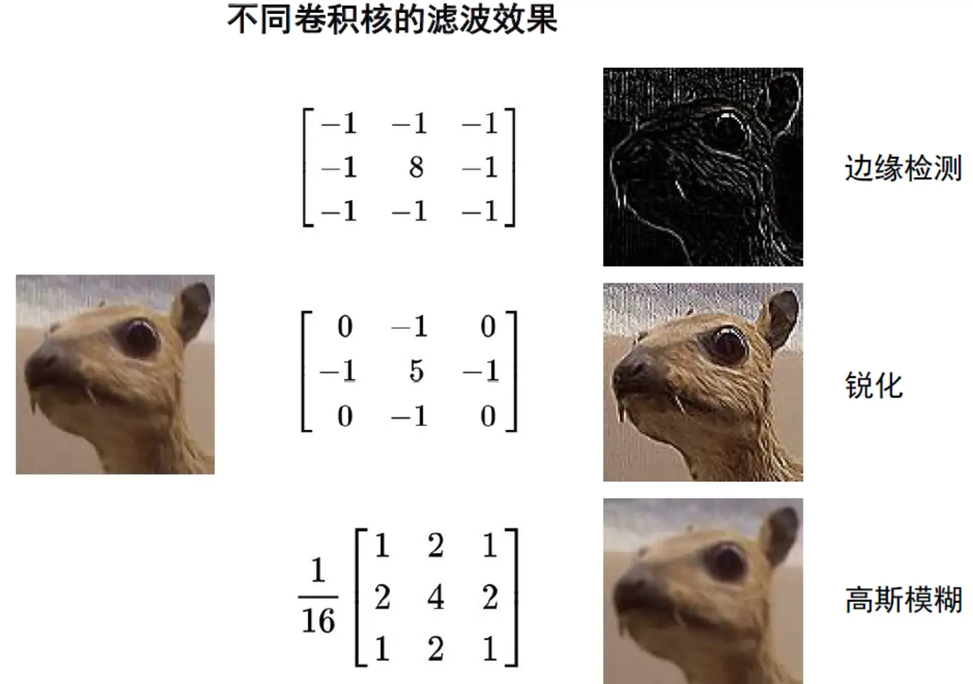 卷积图像效果